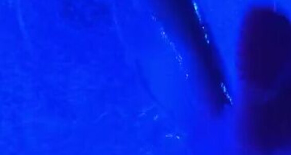 Red Queen, Video: 02 94 28 Onlyfans Me Red 2020 Watch Enjoy Queen Jacuzzi Nicknamed Video Femdom