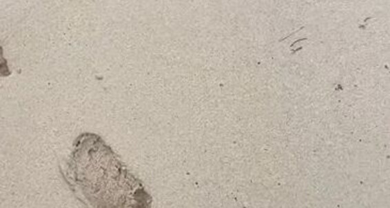 Stillsinning, Video: Onlyfans Forever Nicknamed A Beach Girly