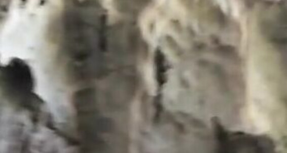 Giapaige, Video: 2017 5685261 12 19