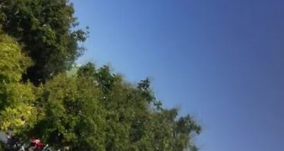 Giapaige, Video: 2019 61952742 09 19