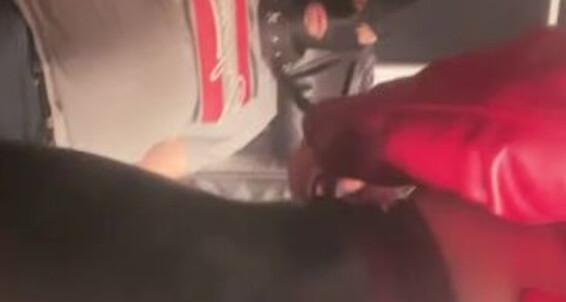 Lady Ayse, Video: Lady Education Onlyfans Sklaven Ladyayse Slave Nicknamed Ayse Erziehung