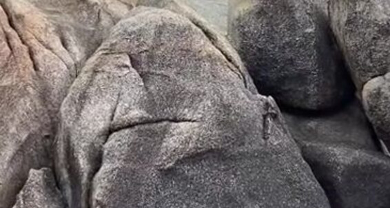 Mistressvblack, Video: O Uma Voc Acho Forma E Aqui Mistress Penis De Essas Black Rochas Nicknamed Eles Em Dizem Onlyfans V Lamai Que Vagina Desenho