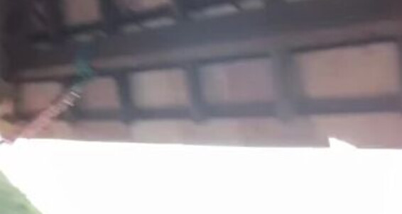 Mistressvblack, Video: Medicina Black Onlyfans Milenar V Nicknamed Ganhei Mistress