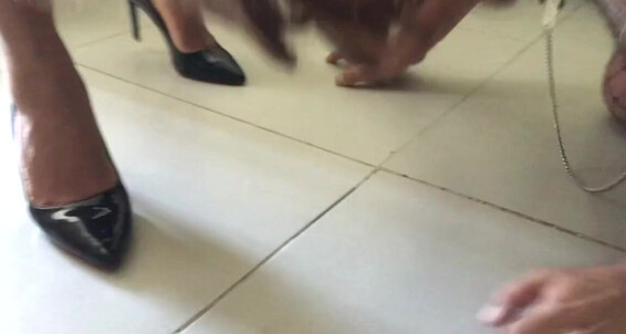 Mistressvblack, Video: Ps Meus Black Onlyfans V Lugar Cho No Favorito E Os Nicknamed Daylarainha Seu Beijando Mistress