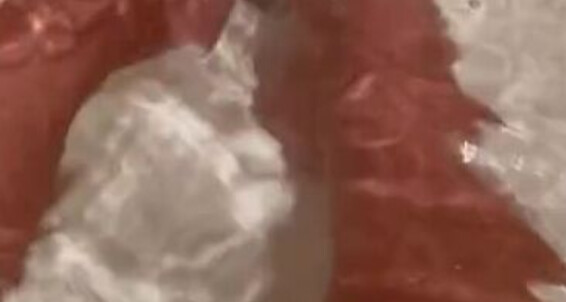 Wonderaeetwoman, Video: Reveal Onlyfans New Pedi Nicknamed Wonderfeetwoman
