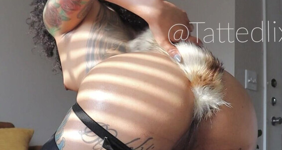 Tattedlix, Video: 207 Videos