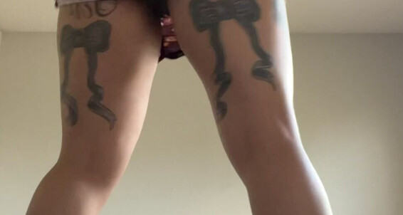 Tattedlix, Video: 323 Videos