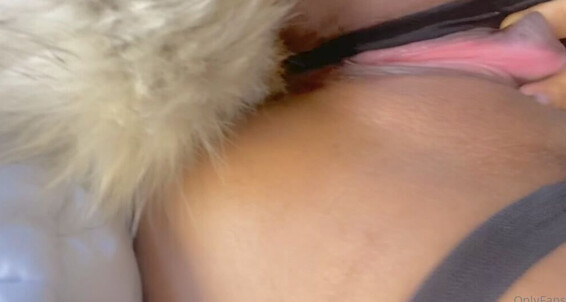 Tattedlix, Video: 396 Videos