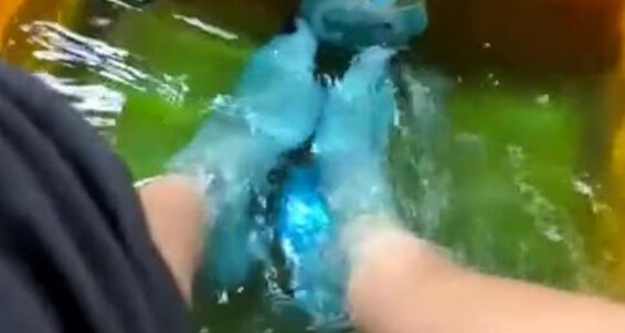 Pm 12162022 D Onlyfans Mom Me Stream Pedi At 0758 Nicknamed Footprincessx1 Started