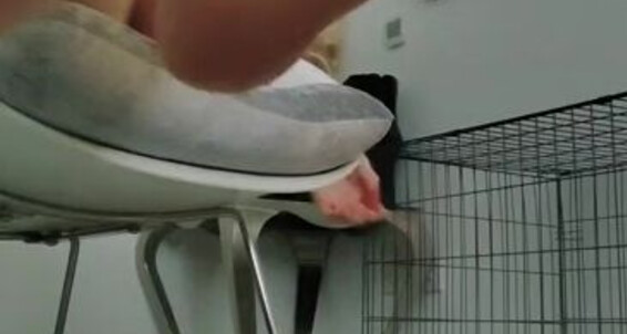Goddess Anna, Video: Feet Goddess Goddessanna Goon Onlyfans Full Legs My Clip Soles Kiss Worship Nicknamed G For Anna Lick