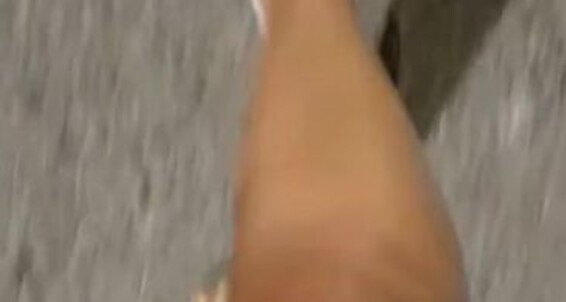 Mistress Sinpiedad, Video: New Onlyfans Sandals Them Slave Sinpiedad Nicknamed Expasiva Walking K Love Mistress