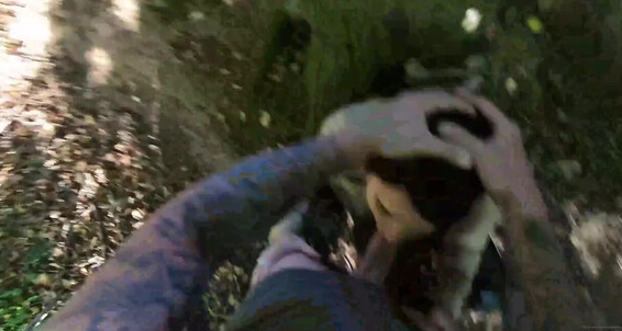 Ukmistressrose, Video: Onlyfans Theenglishrose3 Dark Nights The Means Nicknamed In Of Plenty Woods Walks
