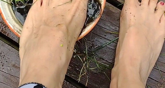 Kasysnowpremium - Nature Dirty Feet