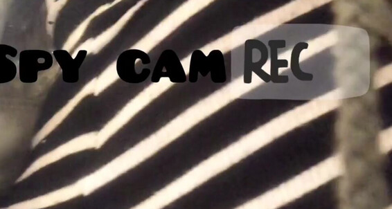 Liquidfirexxx - This Morning Tuesday Spy Cam