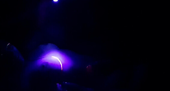 Xmandyfoxxx - Lady Bits Neon Aurorarosefitness Me You Paints To Luscious Those Naked In All Show