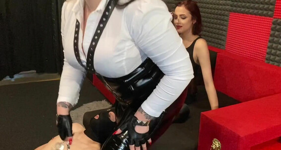 Lady Slave Love And My Https Facesitting I Me Mistresskarino Used This Friend Onlyfans Com Perse