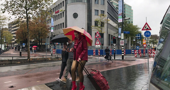 Mfetilicious - Rainy Day