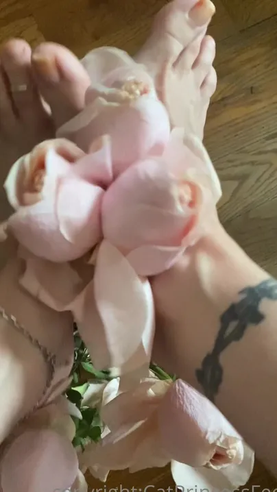 Catprincessfeet Feet Always Ready Played A Bit Which Is Your Favorite