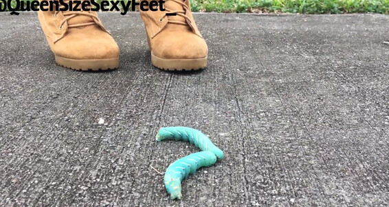 Queensizesexyfeet - Requested Was This One Superworm