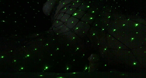 Dildo Satanica Light Green Laser Satanicas Show