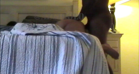 Azgigolo - From Slut Grocery Store Wife Titted Big