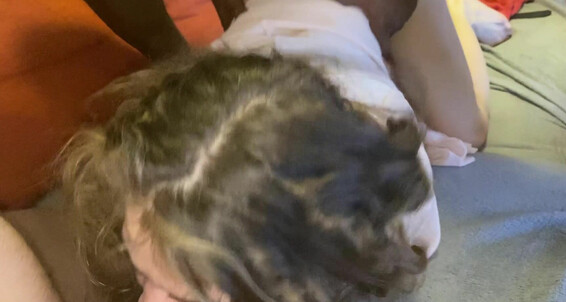 Lutro - So Cute Blowjob