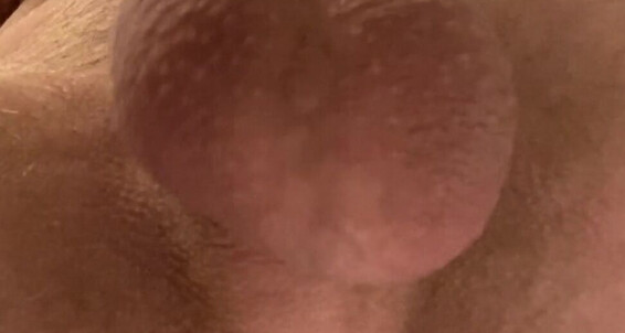 Lutro - Ever Best Play My Solo Talking Dick Cums Asshole Big Video