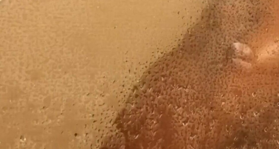 Thejaydajacobs - Got Shower Fucked The In