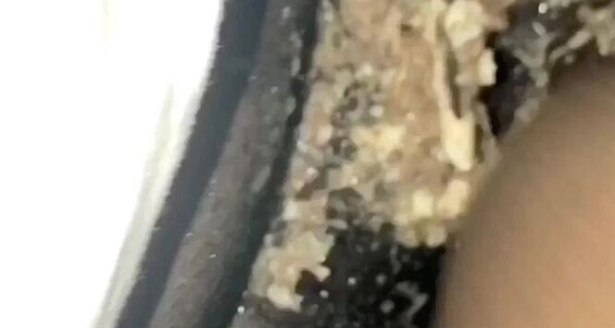 Johnnydarks, Video: Deep A Raina Facefucked And Th Gets Too Bit Goes