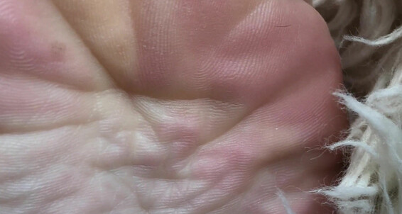 Dominatrixalison, Video: Fresh Pedicu