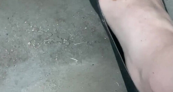 Barefoot Sexy And People Staring Black Heels Pedal Freckled Yes In Pumping Were Feet