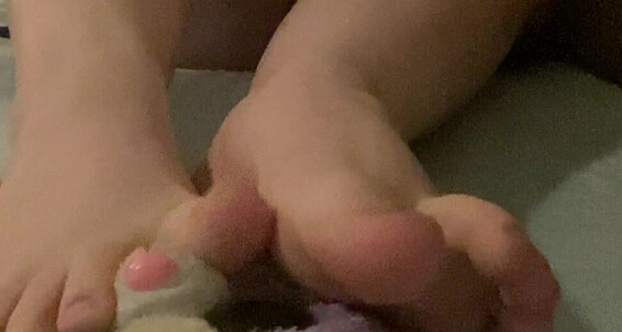 Findomfootfairy - Requested A Plushy And My Trampling Treat As For