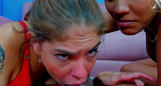 Xlivestudio, Video: Blowjobs Pov Explosive Omg Milk