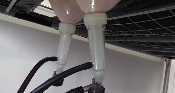  Bondage Hucow Milking Hucows.Com New Ten Charlie Vibrator Machine