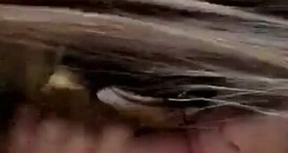  All Siterip Allison Sex Cumshot Parker