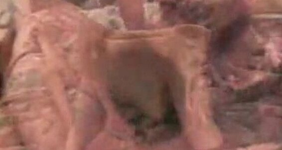 Amateur, Video: 113227_Kyla_1Flv Motherlesscom Pornhubpremium