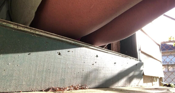 Amateur, Video: Piss Watched_Publicprincess Neighbor On And While Cum Pornhubpremium Porch