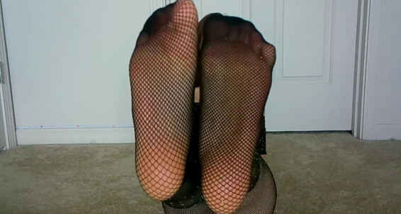 Joi 3049416676 Goddessmayhere 2 12 2023 Onlyfans 01 Fishnet