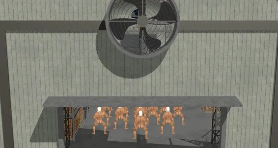 Siterip Zienzao Zao_1 Zien