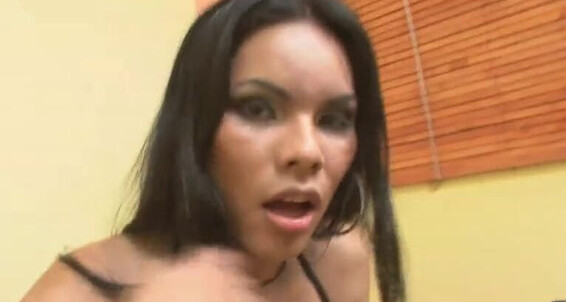 Mix, Video: Siterip & Mireya Lionel. Trannys_2 Taboo