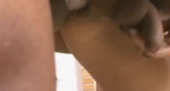 Mix, Video: Rise Siterip She-Males_1 Of The