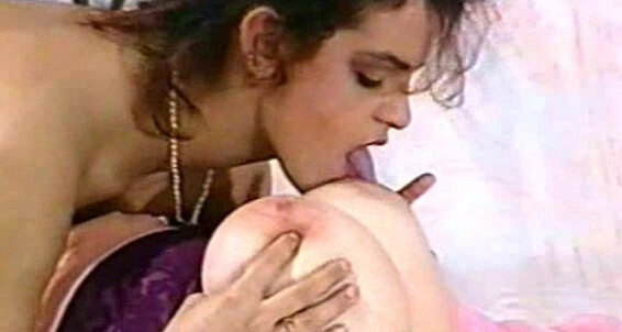 Willis_5 Siterip Nilli