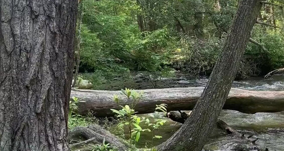 Mountains Tennessee The Fitbryceadams Somewhere In