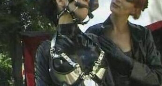 Mix, Video: Siterip I_1 Ponygirls. Part