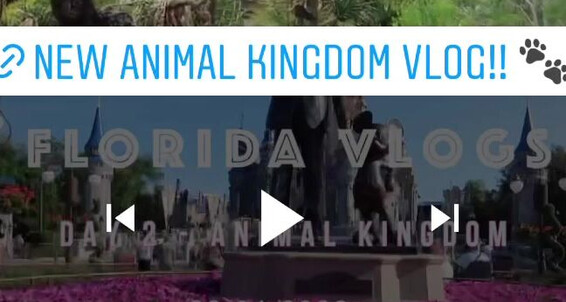 Disney Press Vlog Dollybitch Kingdom New Animal Florida Link